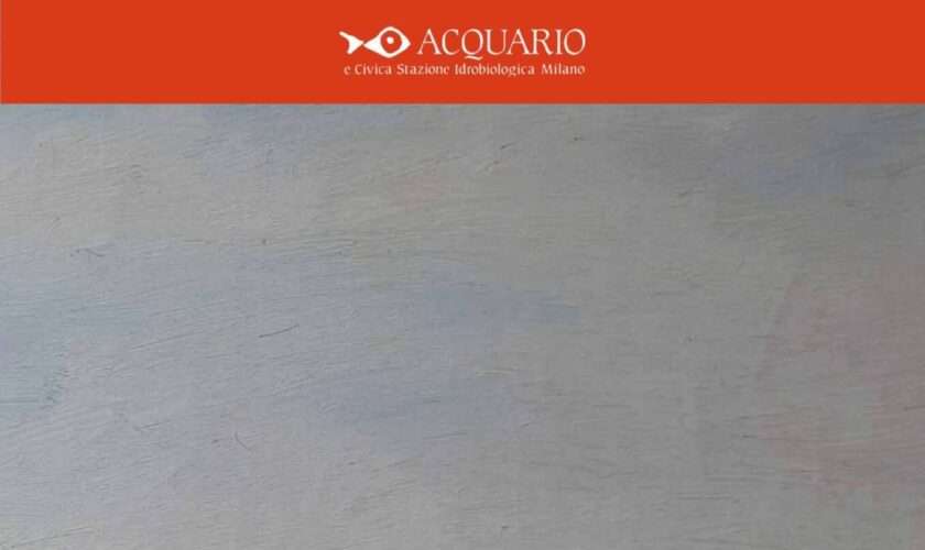 "Acqua" di Umberto Lilloni