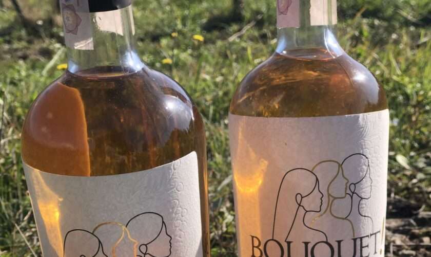 la Fattoria Lavacchio Bio-Winery