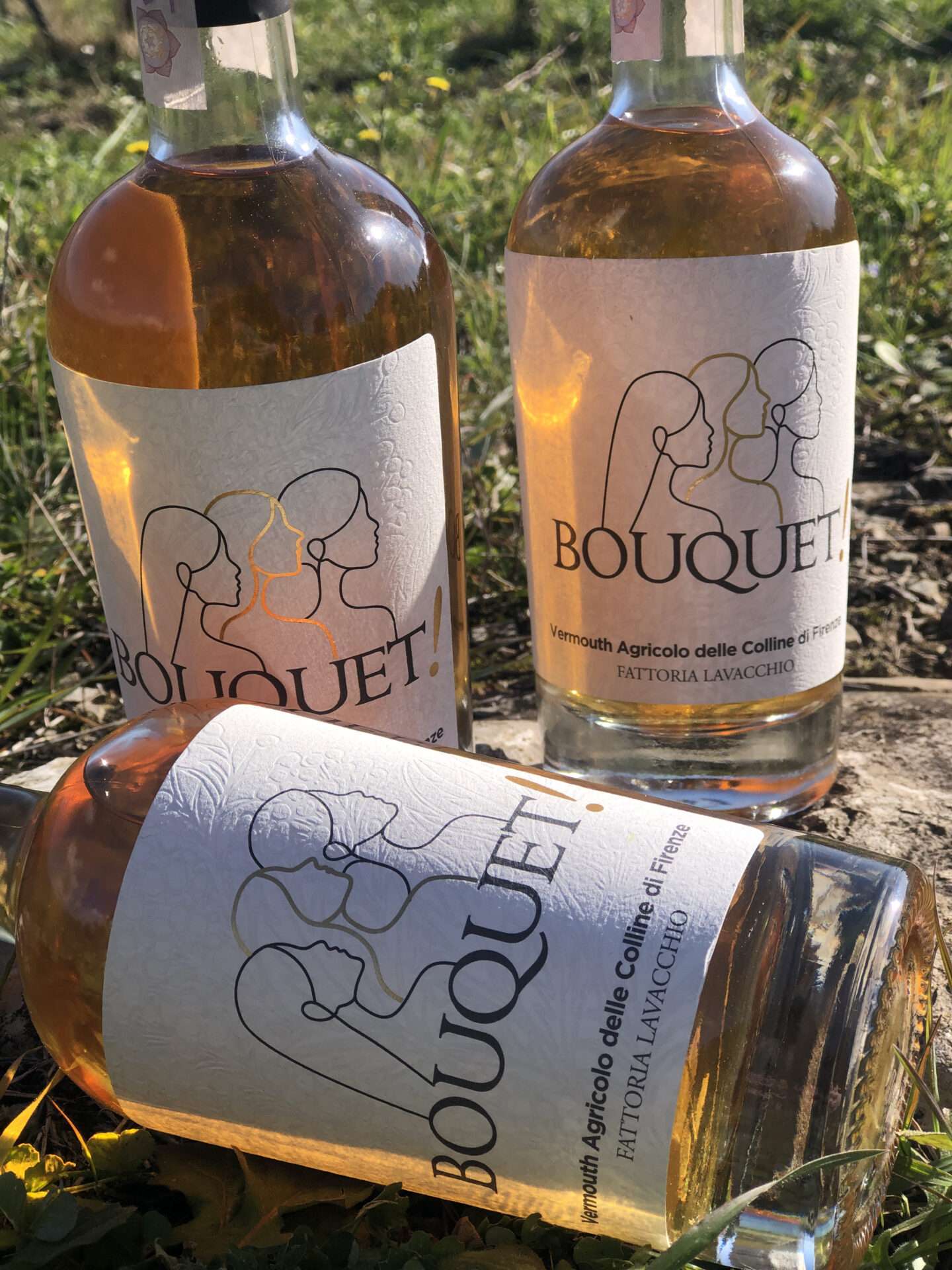 la Fattoria Lavacchio Bio-Winery