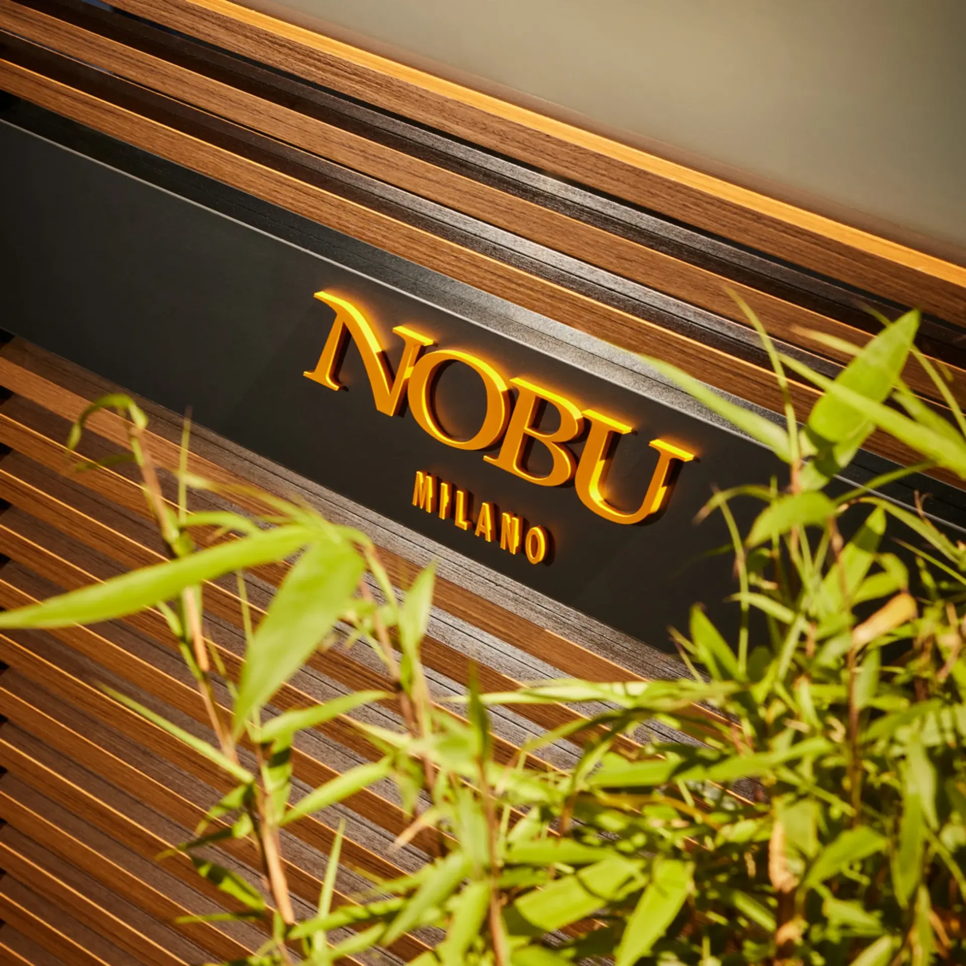 nobu e l'orto di mimi