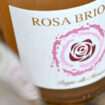 Rosa Briosa