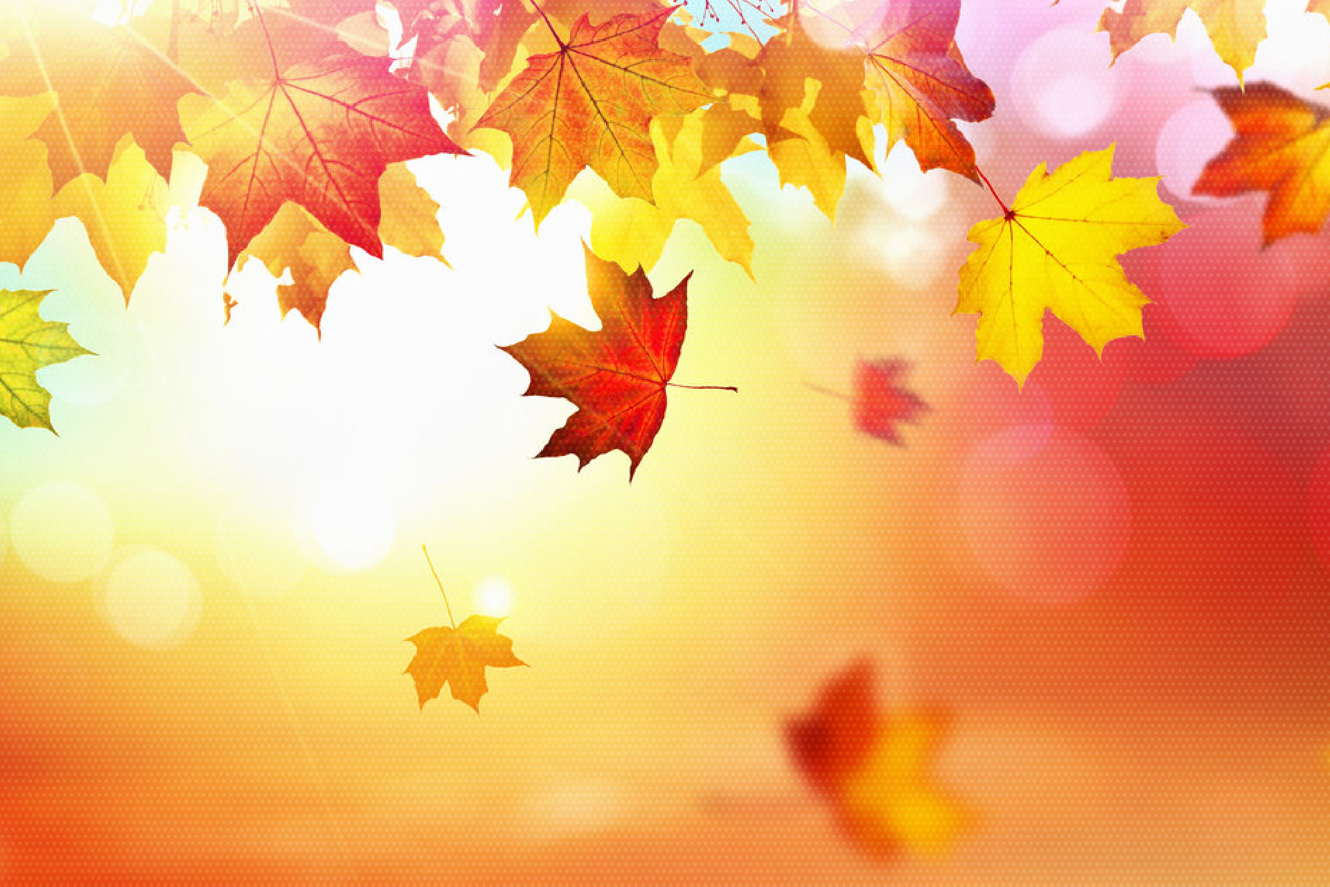 Rossella Facchinetti