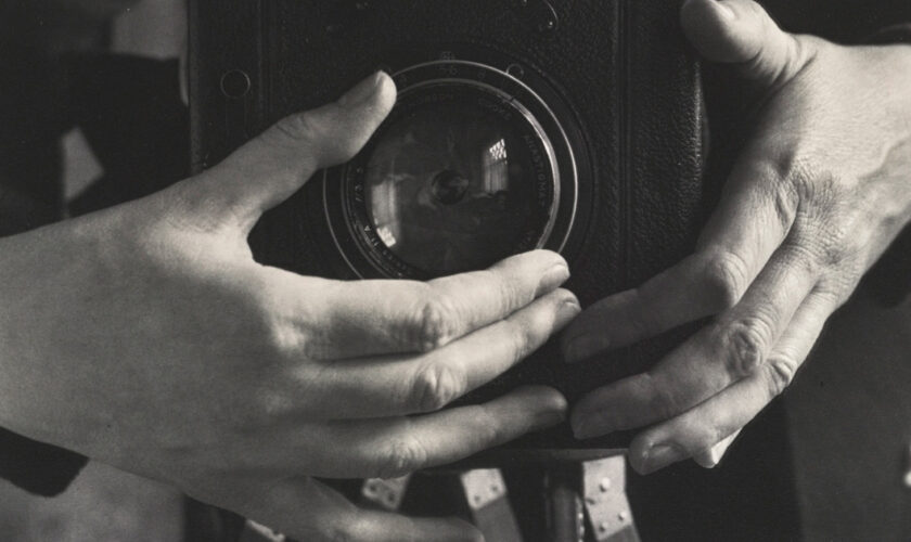 dottoressa rossella facchinetti